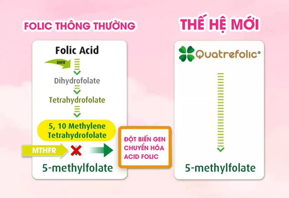 nutristill chứa folic thế hệ mới