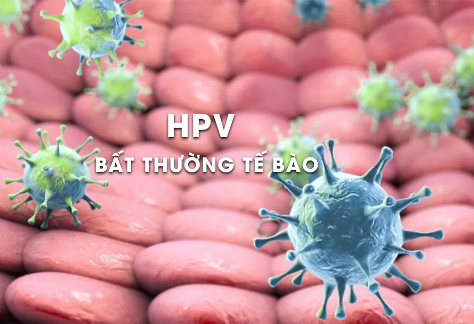 HPV và bất thường tế bào cổ tử cung