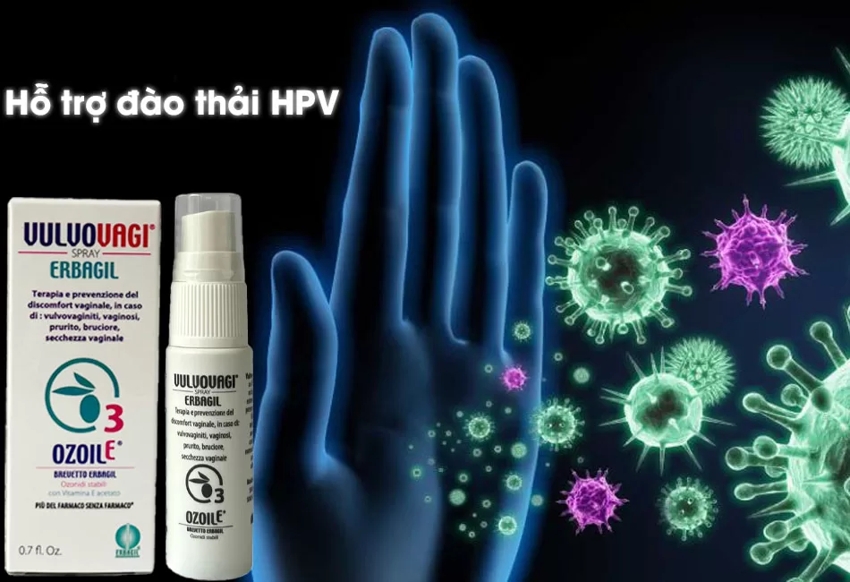 Vulvovagi hỗ trợ đào thải HPV