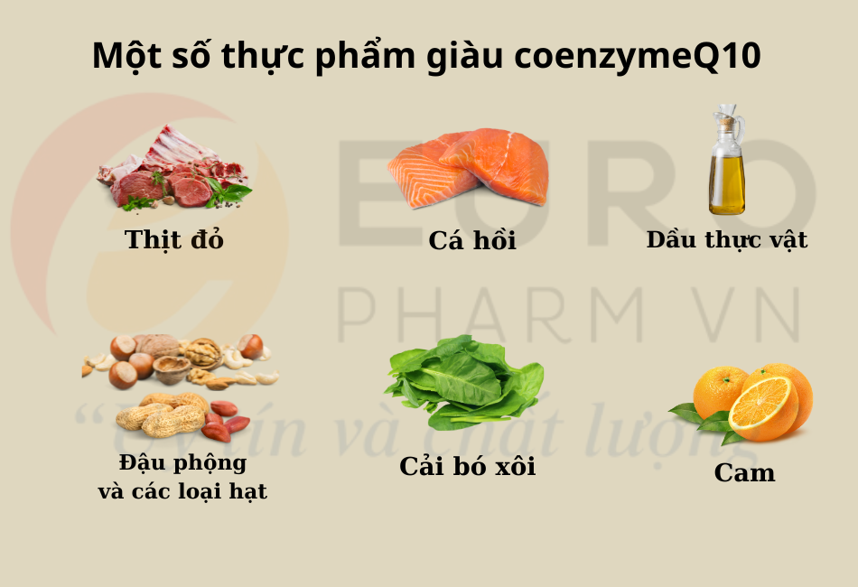 thực phẩm giàu coenzymeQ10