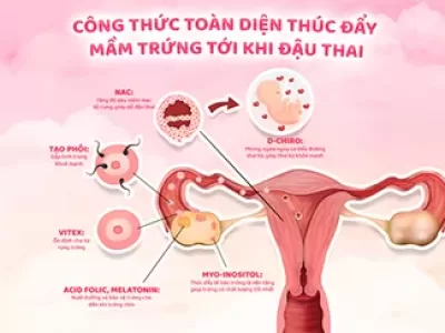 Thành phần của Inofem Plus: Công thức khoa học và toàn diện