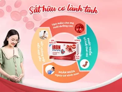 Thành Phần Iron Chelate