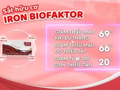 Review Iron Biofaktor