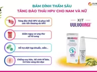 Vulvovagi là thuốc gì?