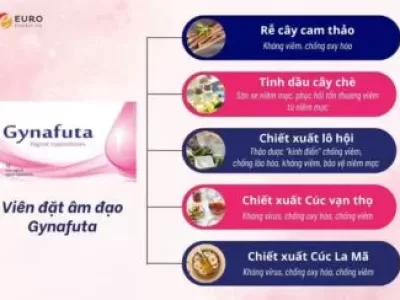 Gynafuta thành phần