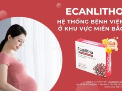 Hệ Thống Điểm Bán Ecanlitho Ở Khu Vực Miền Bắc