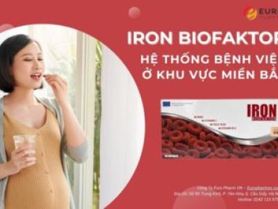 Hệ Thống Điểm Bán Iron Biofaktor ở Khu Vực Miền Bắc