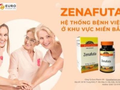 Hệ thống điểm bán Zenafuta ở khu vực miền Bắc