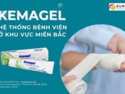 Hệ thống điểm bán Kemagel ở khu vực miền Bắc