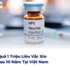 Hiệu Quả 1 Triệu Liều Vắc Xin HPV Sau 10 Năm Tại Việt Nam