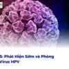 HPV 35 là gì? Cách phát hiện sớm và phòng ngừa virus HPV