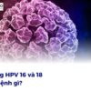 Chủng HPV 16 và 18 gây bệnh gì?