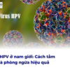 Virus HPV ở nam giới: Cách tầm soát và phòng ngừa hiệu quả