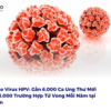 Cảnh Báo Virus HPV: Gần 6.000 Ca Ung Thư Mới và Hơn 3.000 Trường Hợp Tử Vong Mỗi Năm tại Việt Nam