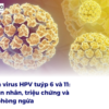 Nhiễm virus HPV tuýp 6 và 11: Nguyên nhân, triệu chứng và cách phòng ngừa