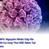 Virus HPV: Nguyên Nhân Gây Ra 600.000 Ca Ung Thư Mỗi Năm Tại Việt Nam