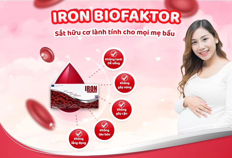 Iron Biofaktor Viên sắt hữu cơ
